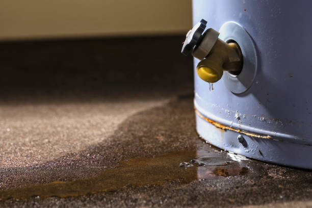 Best Mold removal after water damage  in Midway South, TX