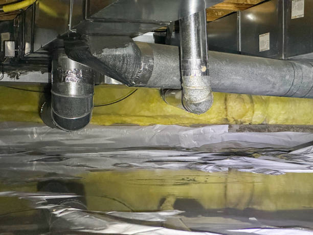 Best Sewage cleanup and water damage restoration  in Midway South, TX