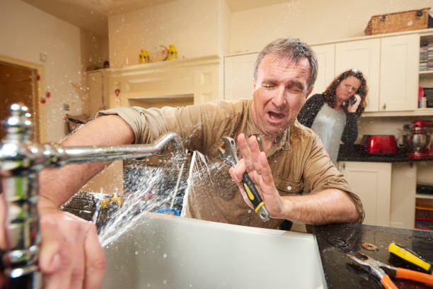 Best Professional water damage repair  in Midway South, TX